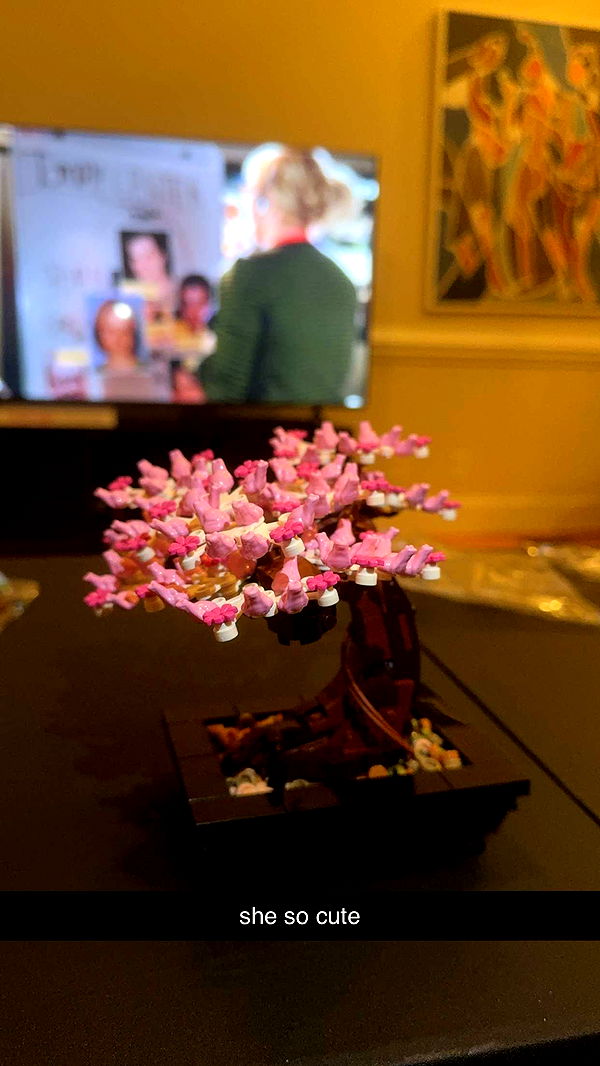 xcatlyn image ~ Altpins