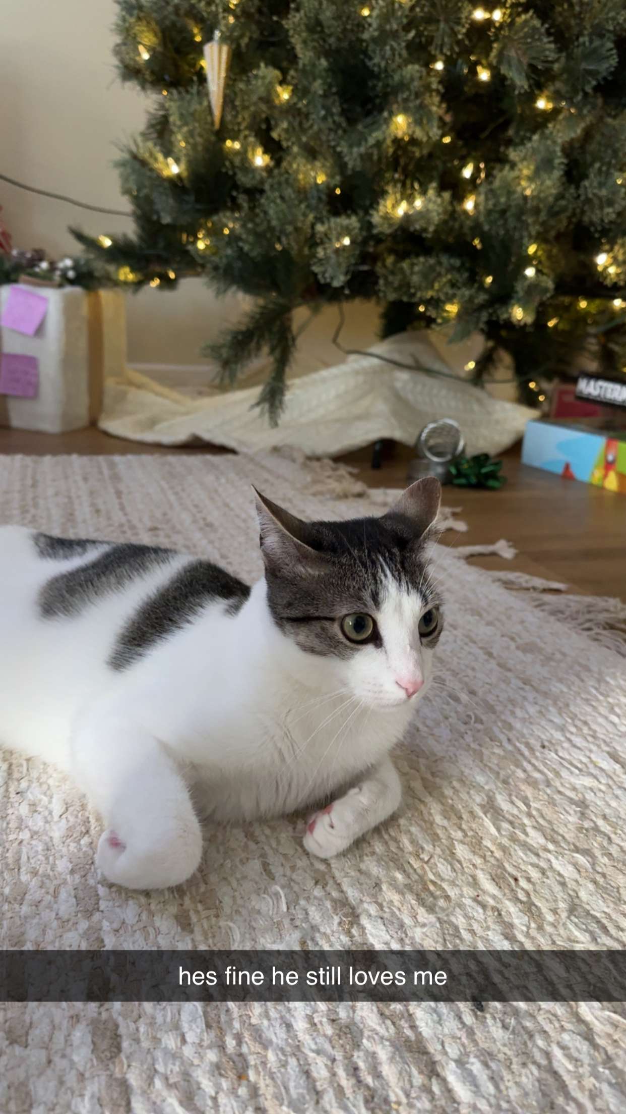 xcatlyn snapchat image archive image