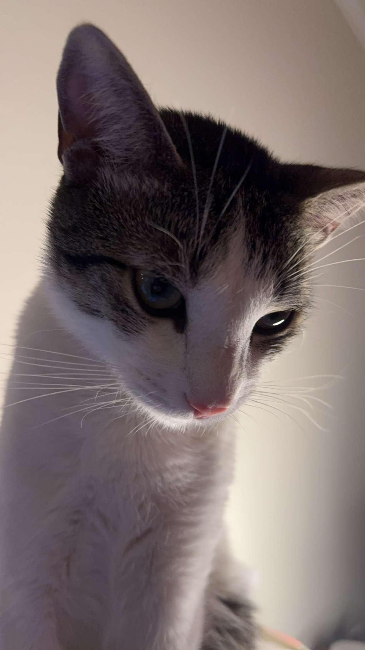 xcatlyn snapchat image archive image