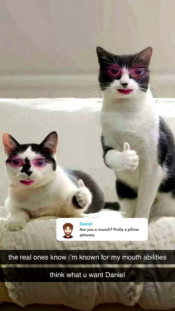 xcatlyn image ~ Altpins