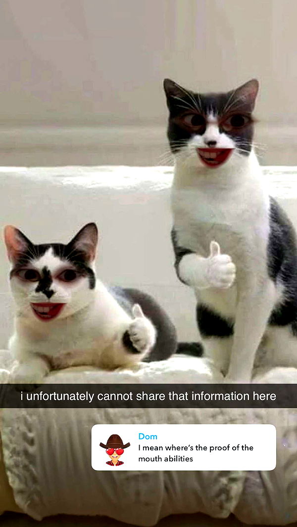 xcatlyn image ~ Altpins