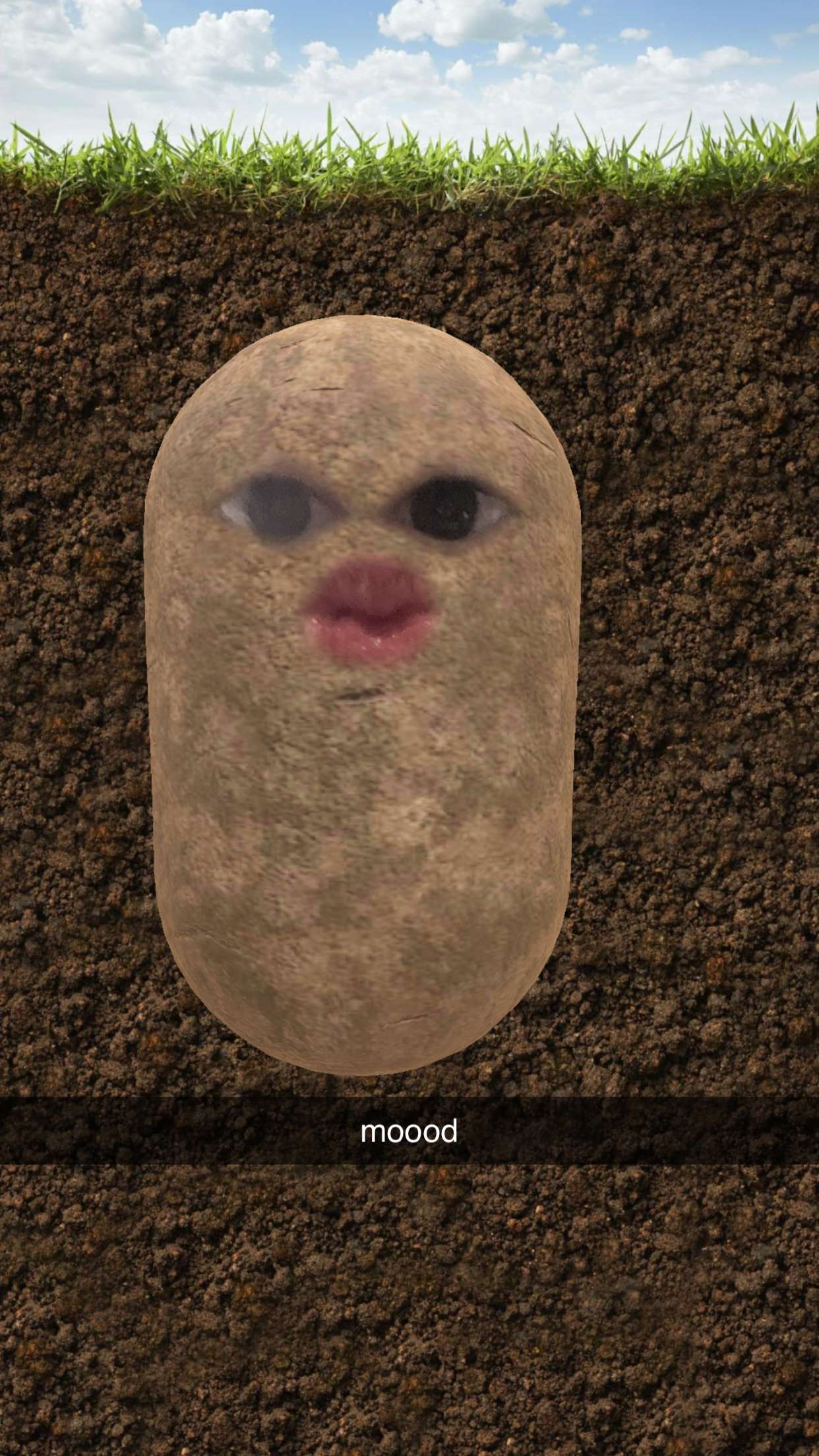 xcatlyn snapchat image archive image