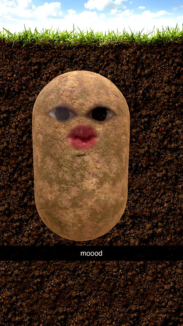 xcatlyn image ~ Altpins