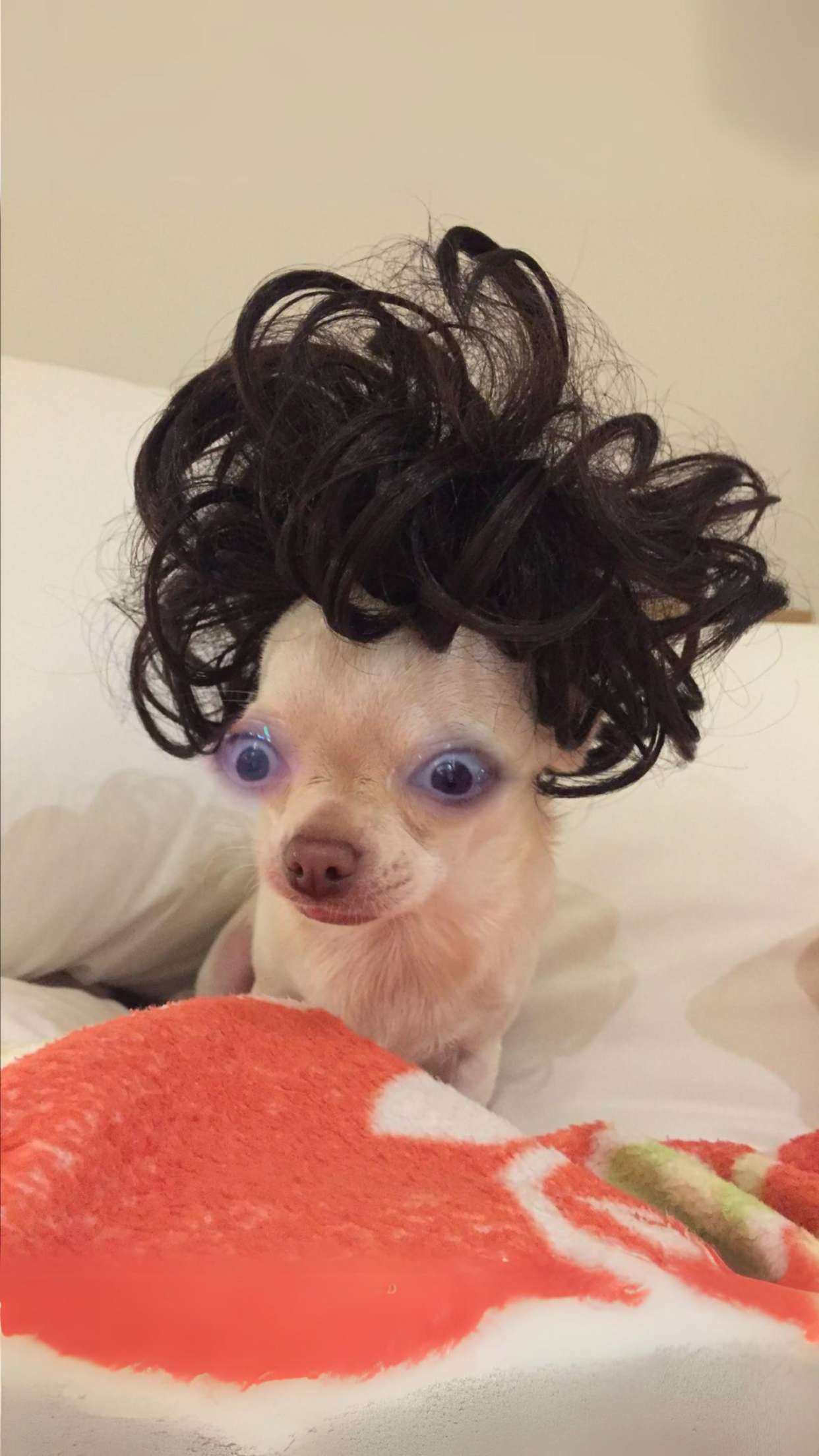 xcatlyn snapchat image archive image