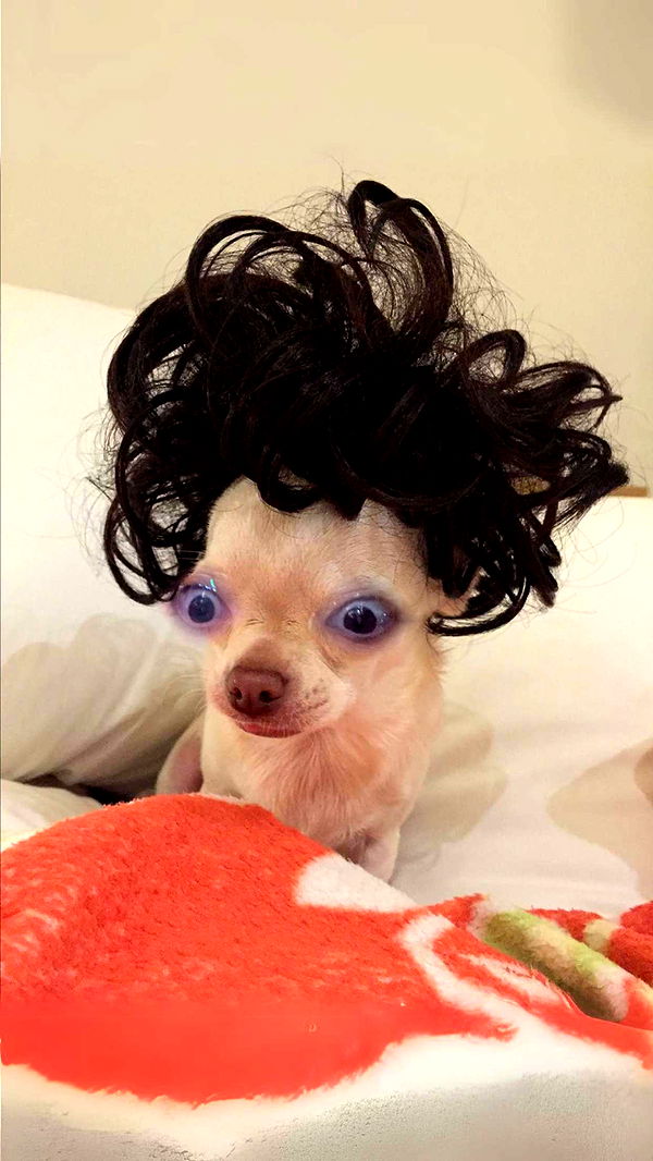 xcatlyn image ~ Altpins