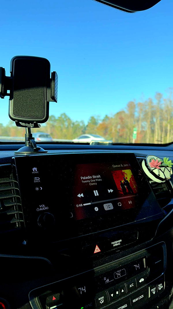 xcatlyn image ~ Altpins