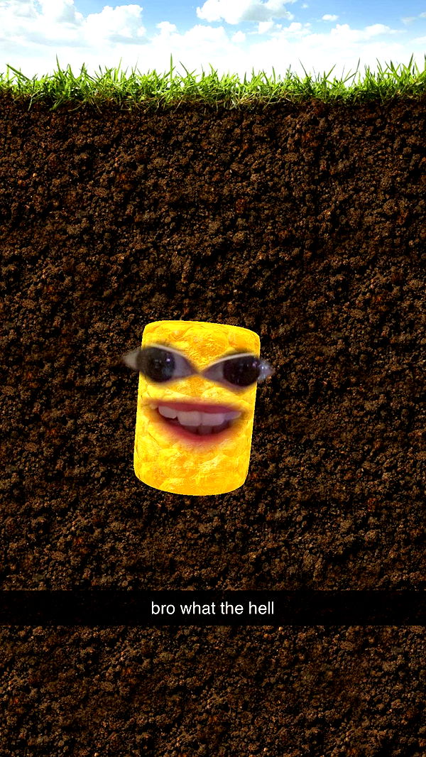 xcatlyn image ~ Altpins