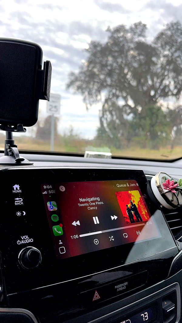 xcatlyn image ~ Altpins