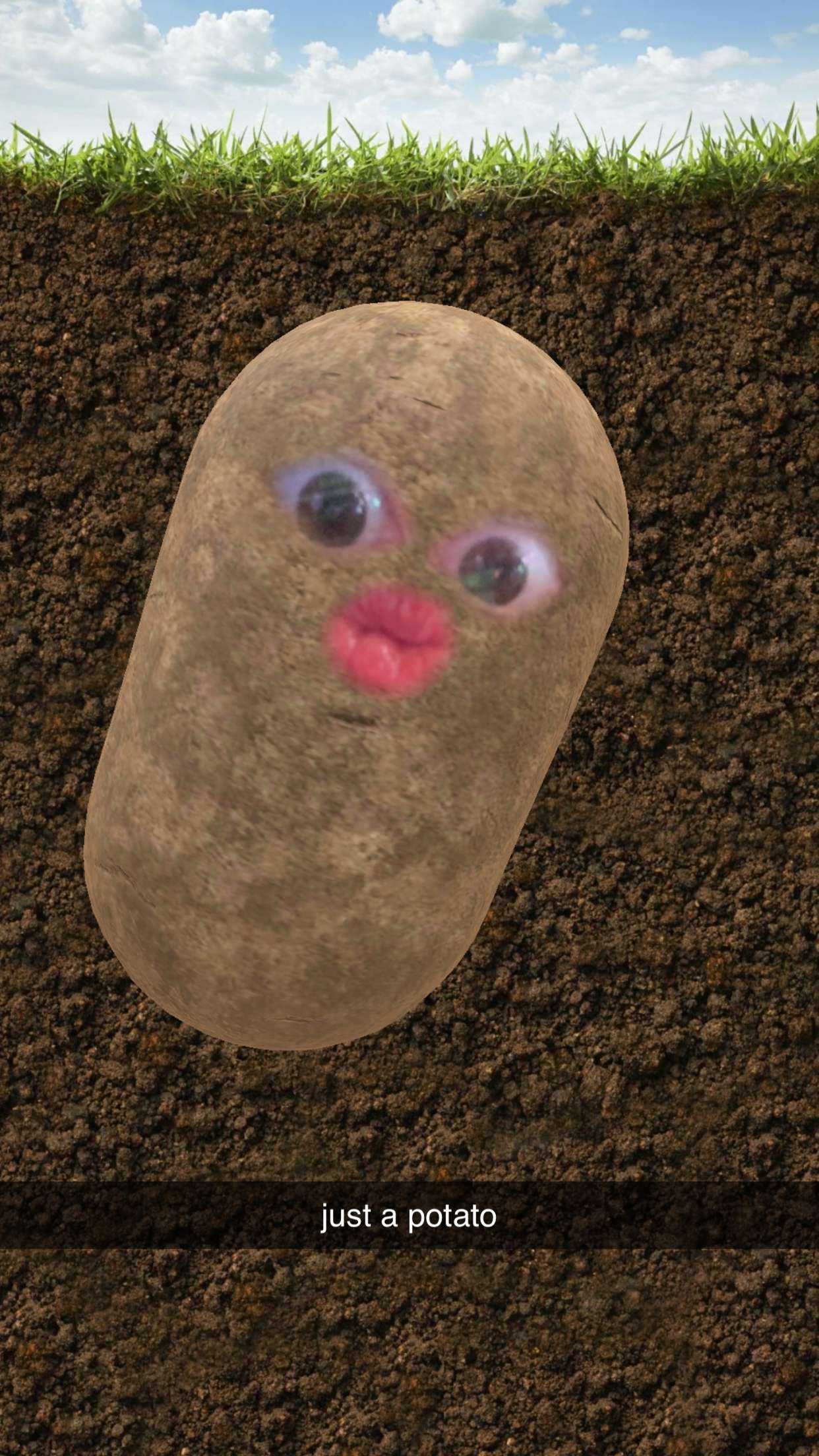 xcatlyn snapchat image archive image