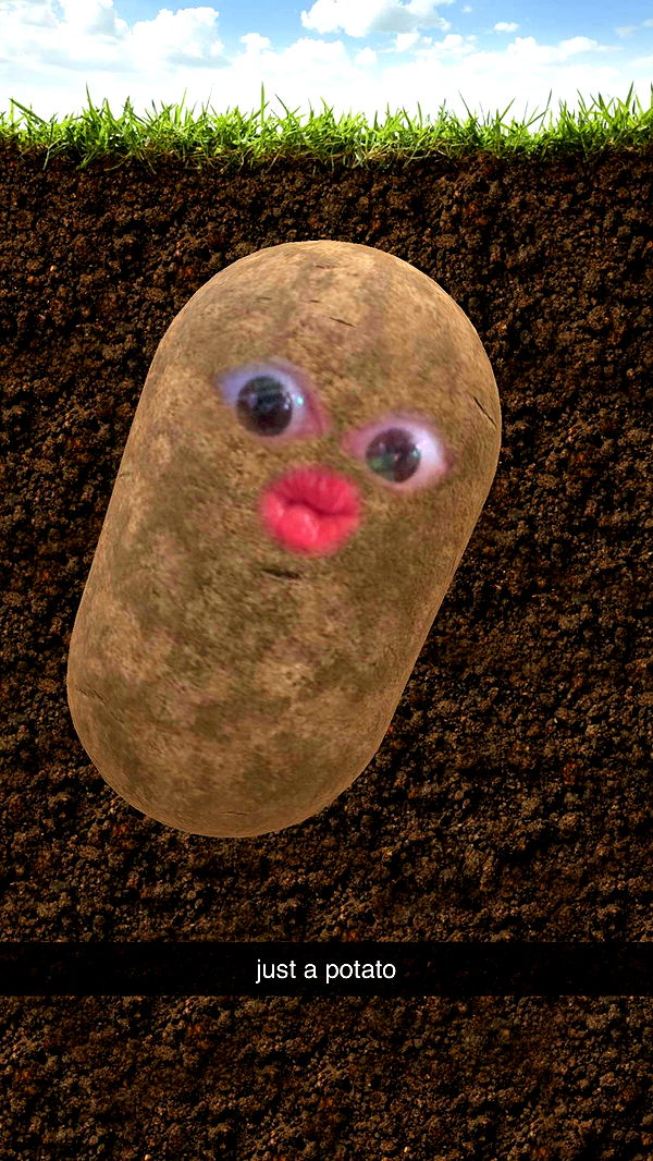 xcatlyn image ~ Altpins