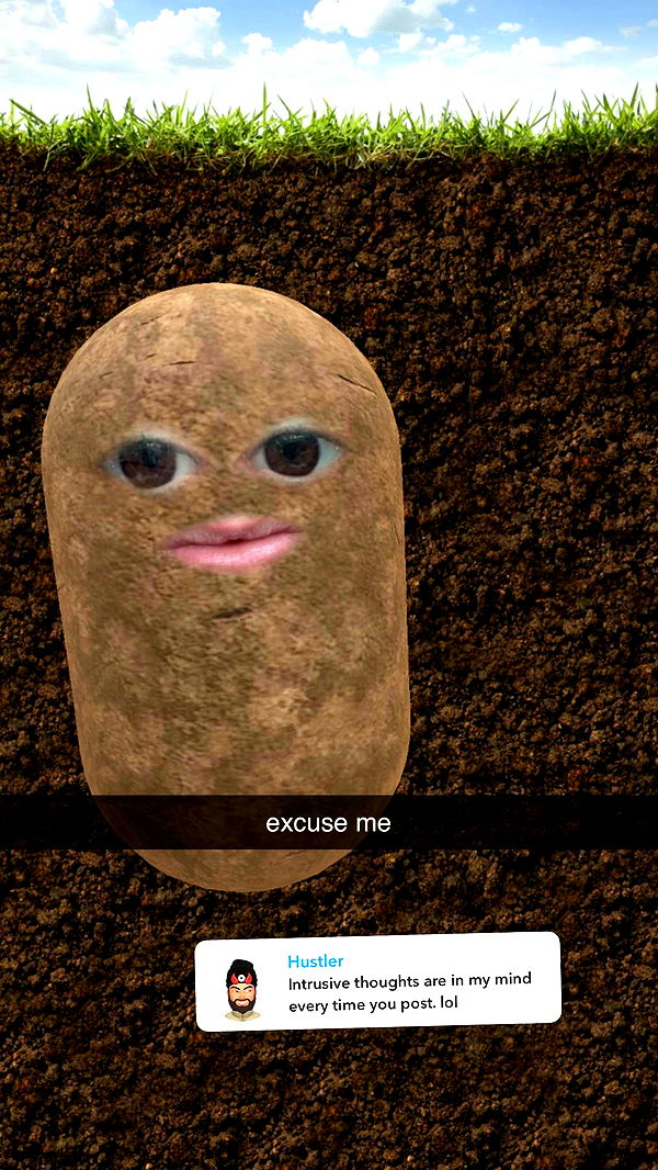 xcatlyn image ~ Altpins