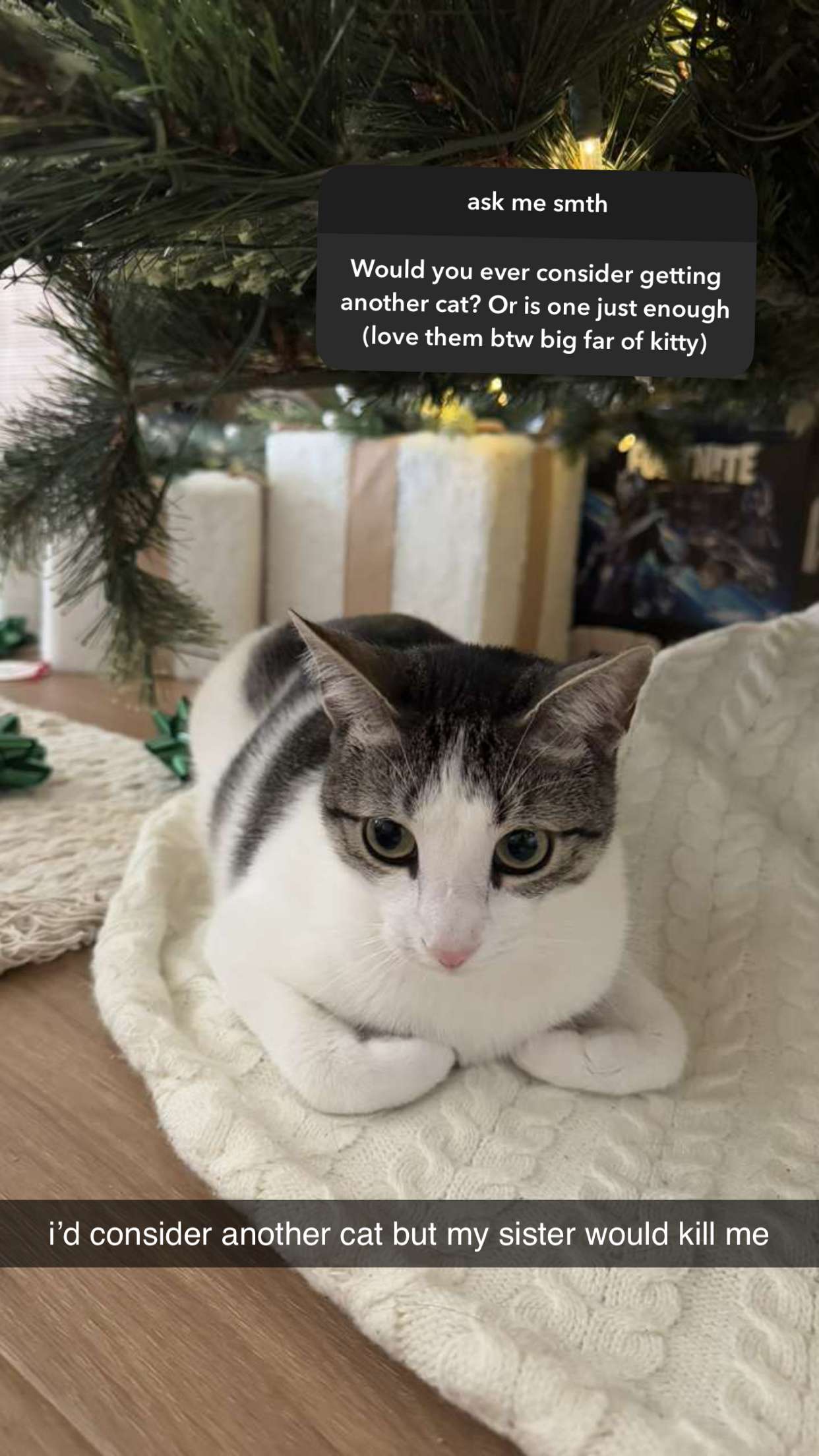 xcatlyn snapchat image archive image