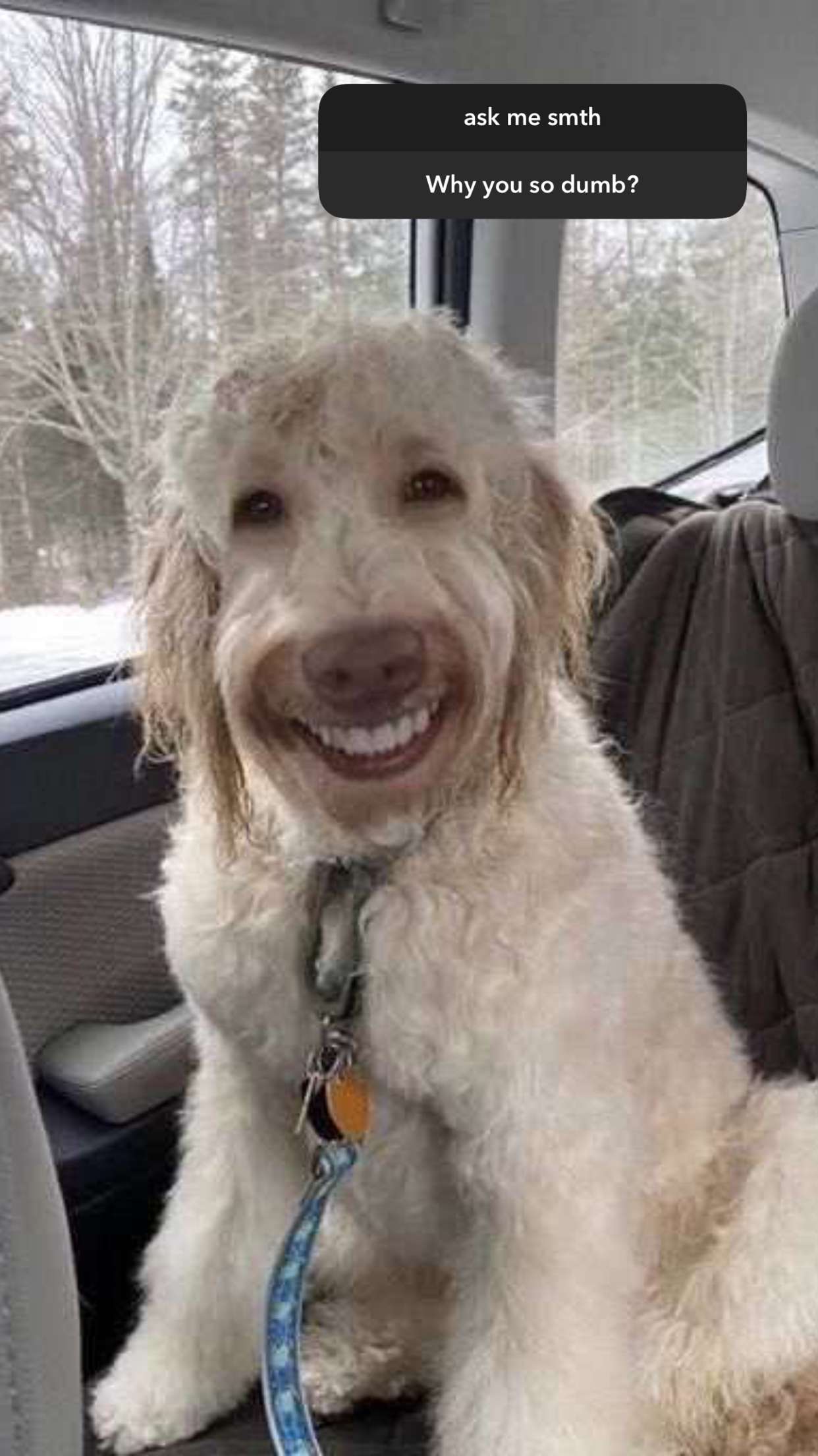 xcatlyn snapchat image archive image