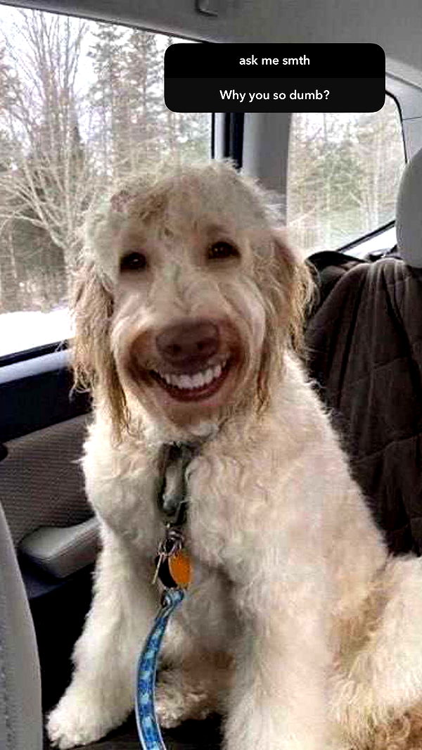 xcatlyn image ~ Altpins