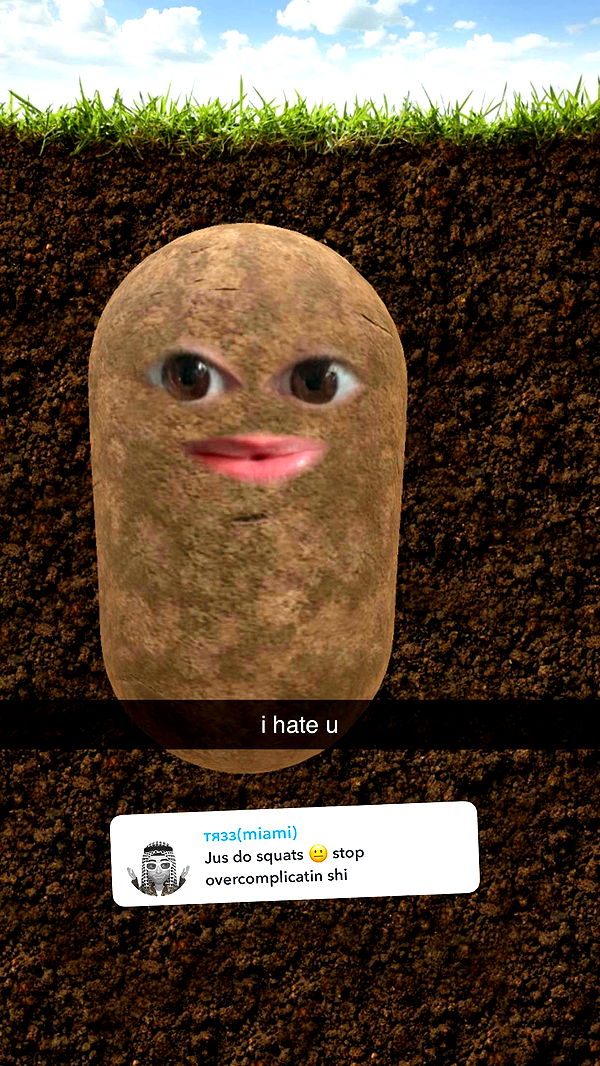 xcatlyn image ~ Altpins