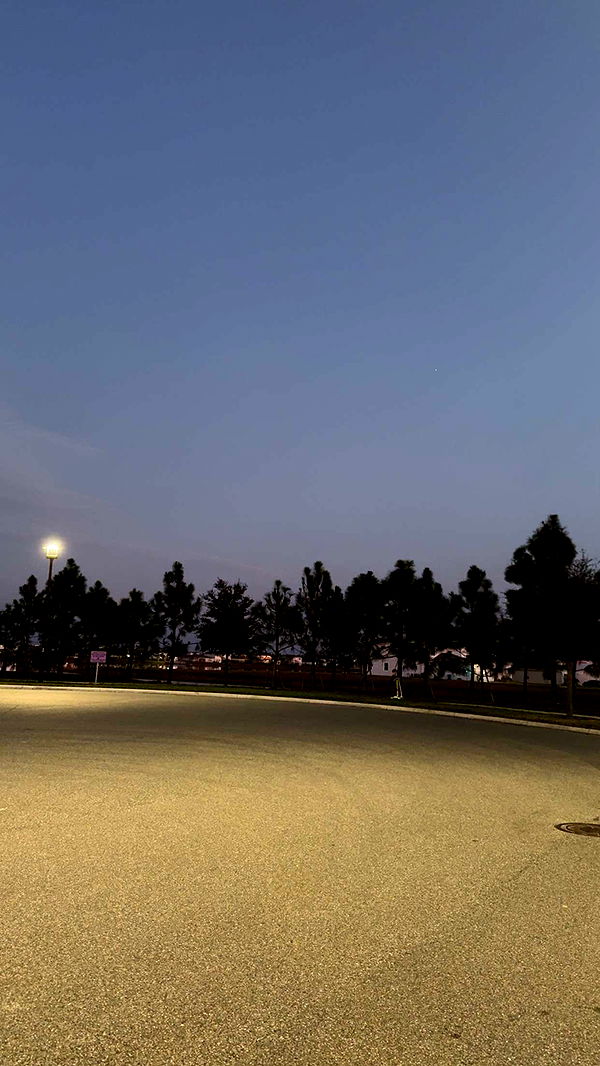 xcatlyn image ~ Altpins