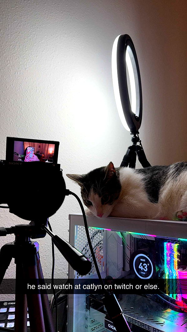 xcatlyn image ~ Altpins