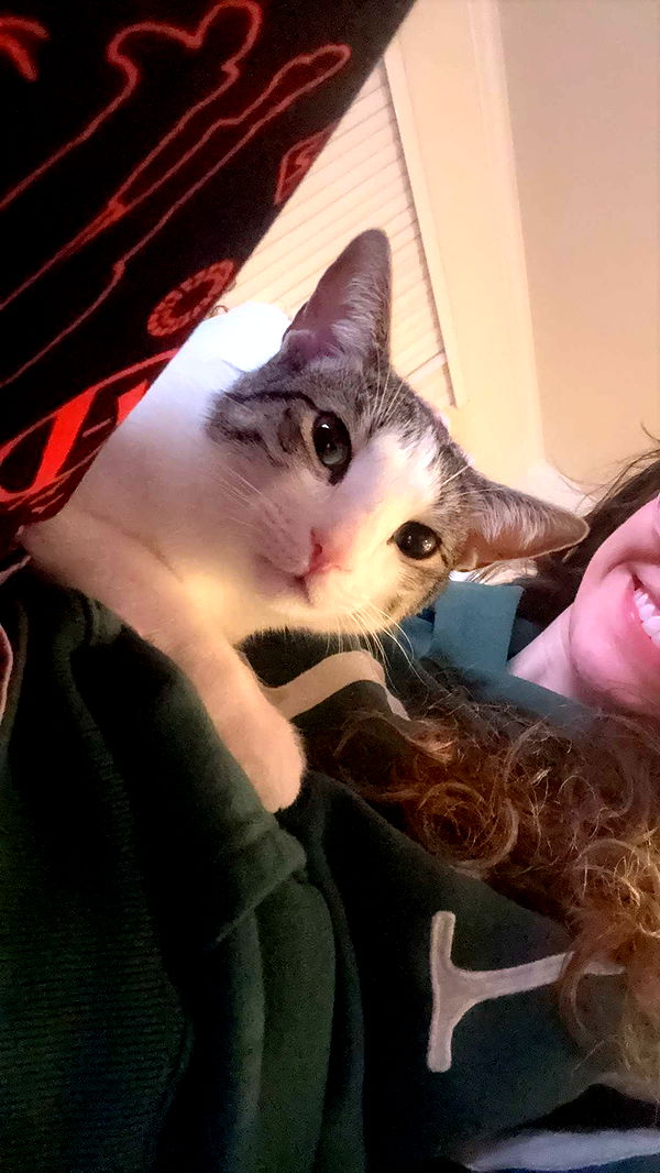 xcatlyn image ~ Altpins