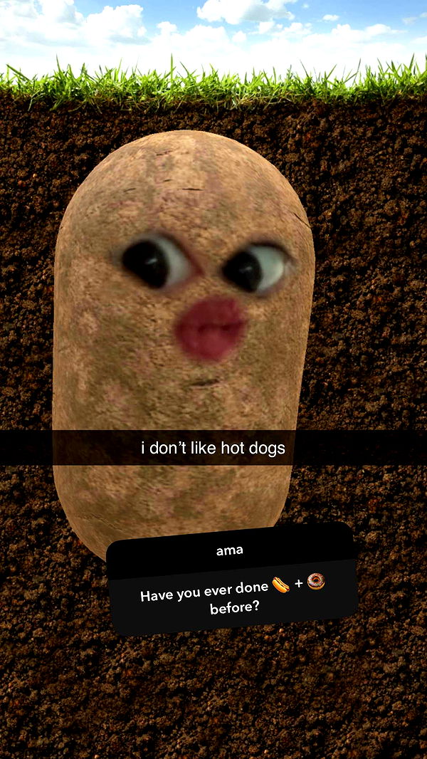 xcatlyn image ~ Altpins