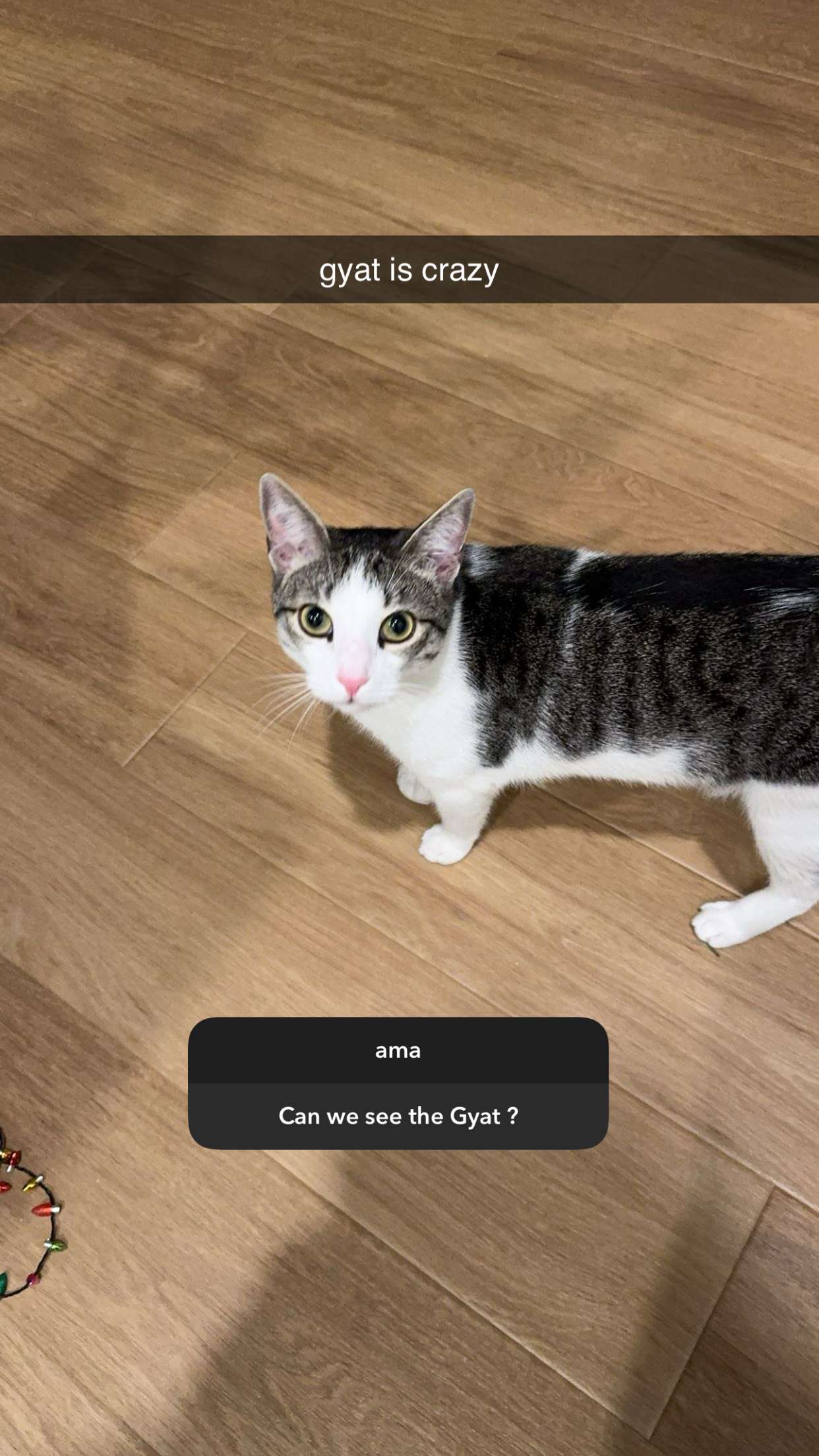 xcatlyn snapchat image archive image