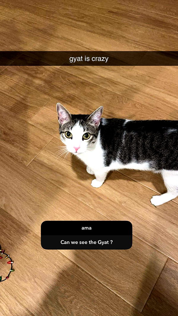 xcatlyn image ~ Altpins