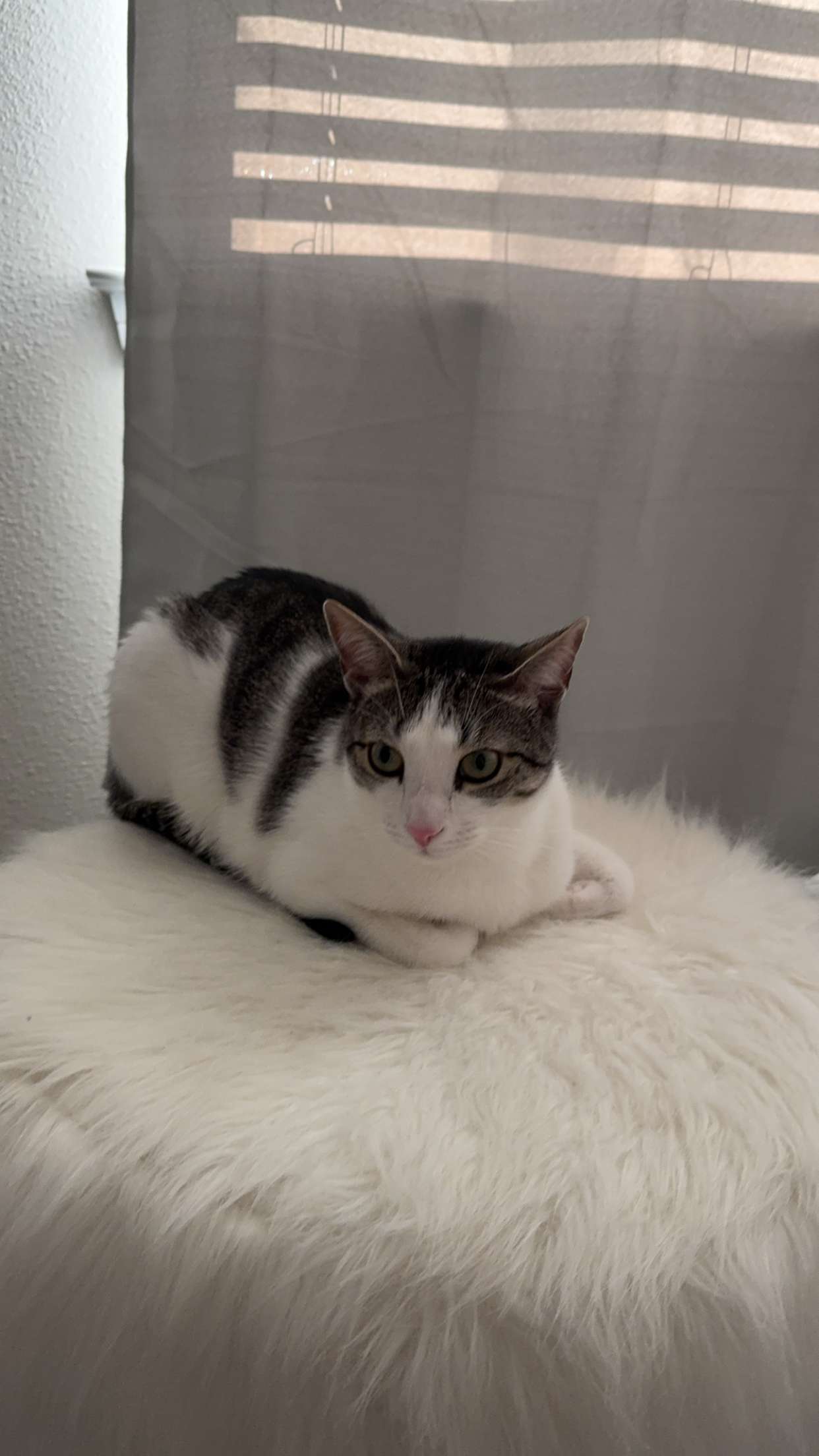 xcatlyn snapchat image archive image