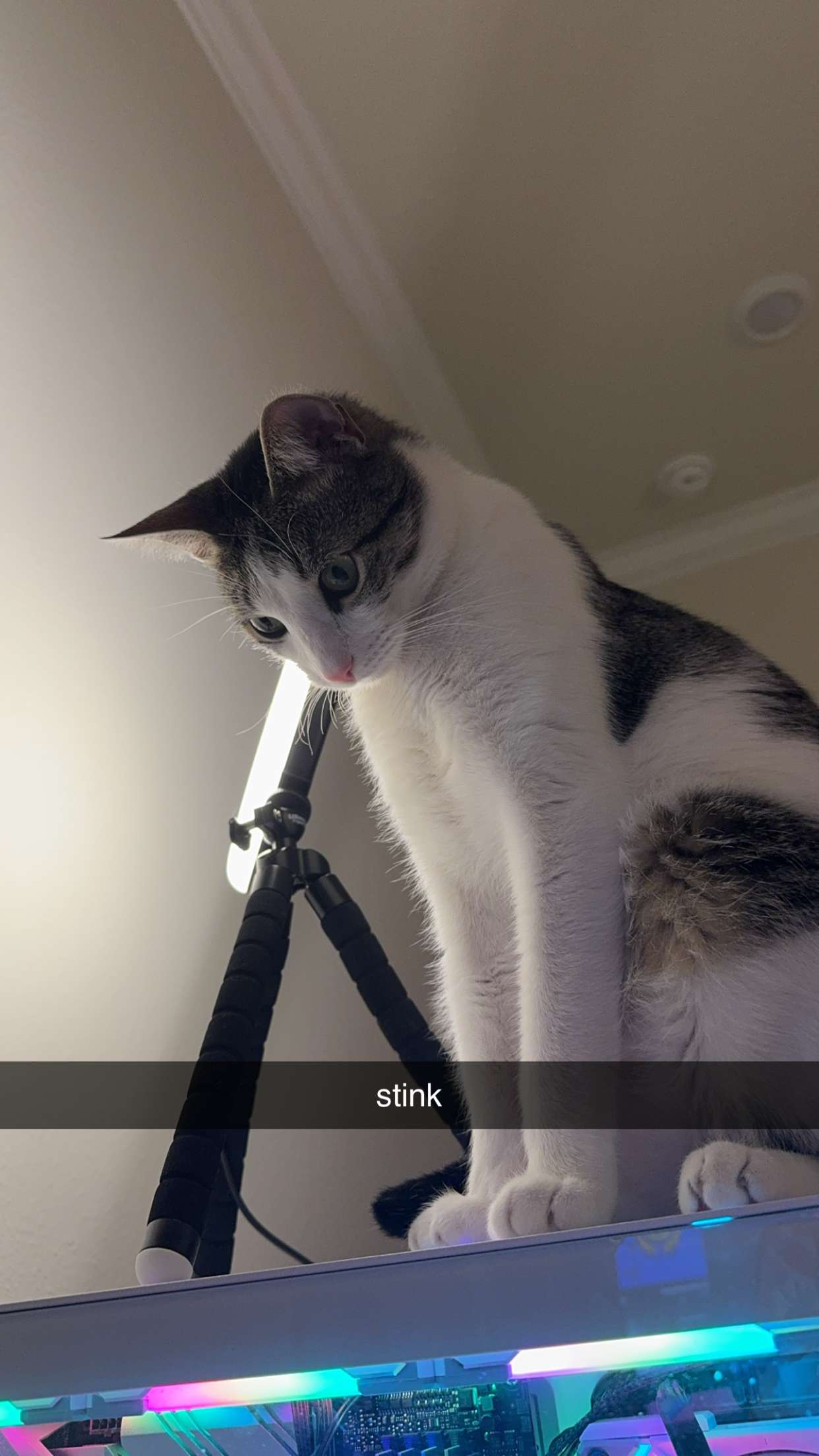 xcatlyn snapchat image archive image