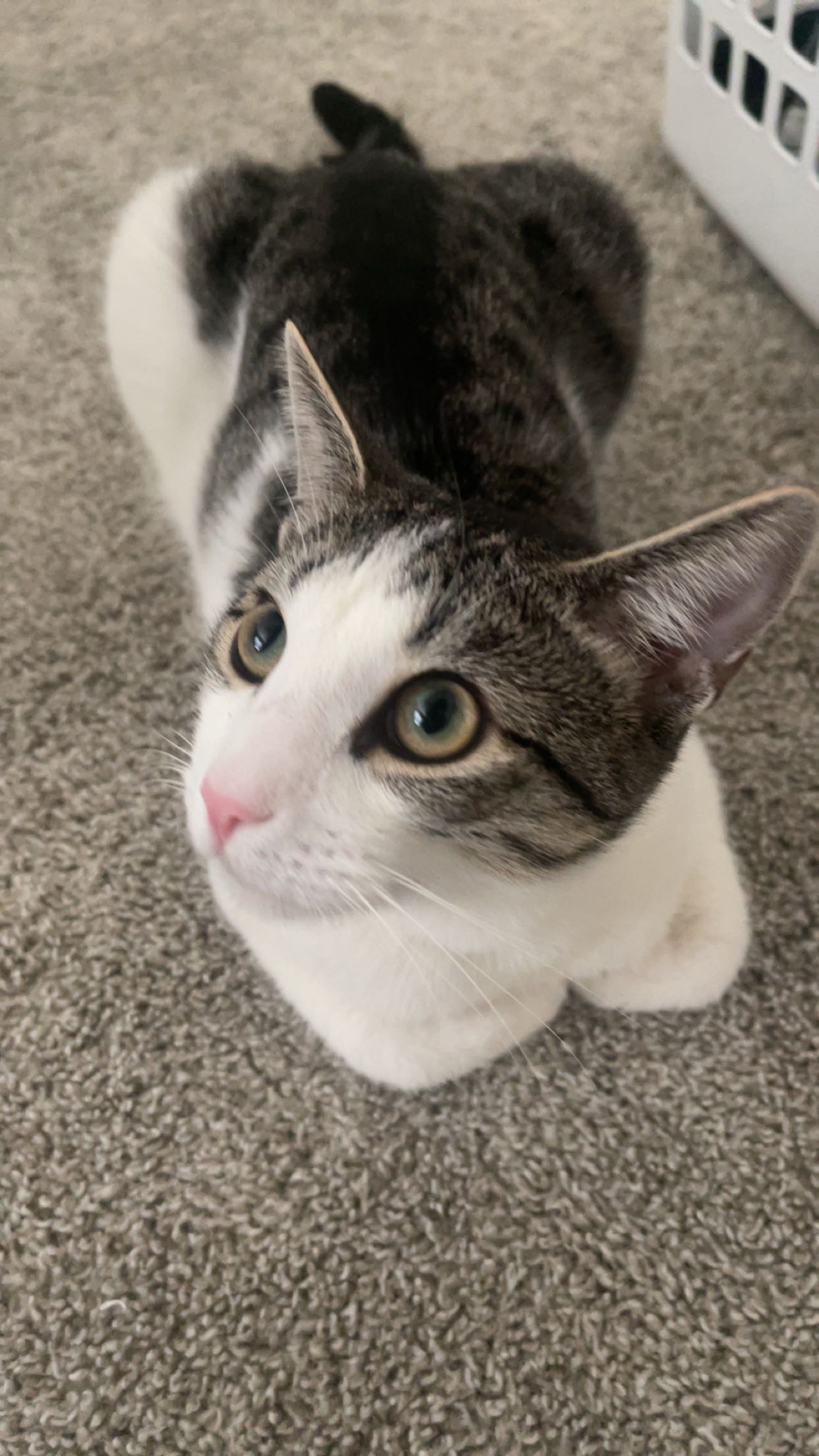 xcatlyn snapchat image archive image