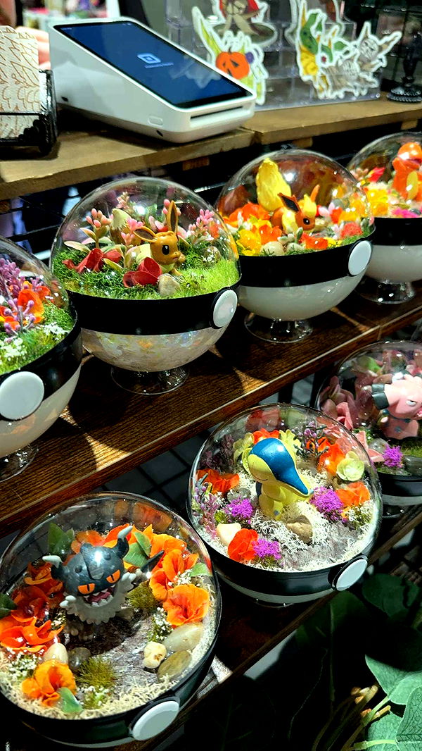 xcatlyn image ~ Altpins