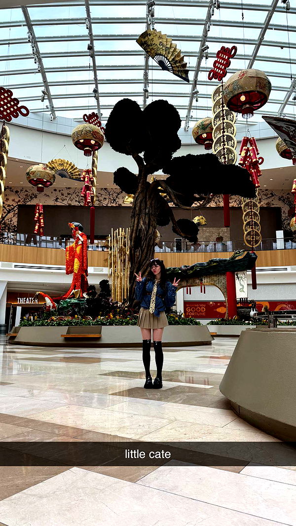 xcatlyn image ~ Altpins