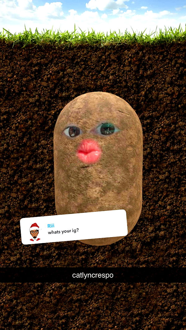 xcatlyn image ~ Altpins