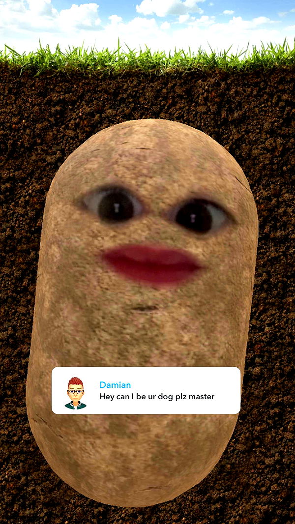 xcatlyn image ~ Altpins