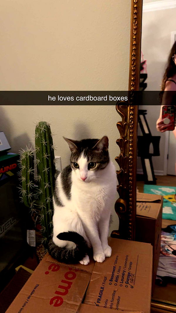 xcatlyn image ~ Altpins