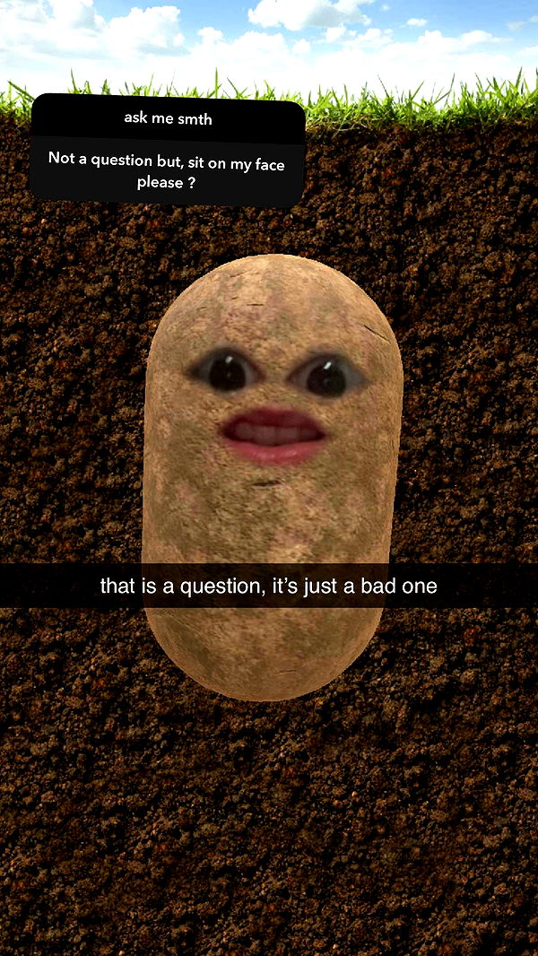 xcatlyn image ~ Altpins