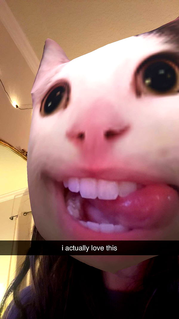 xcatlyn image ~ Altpins