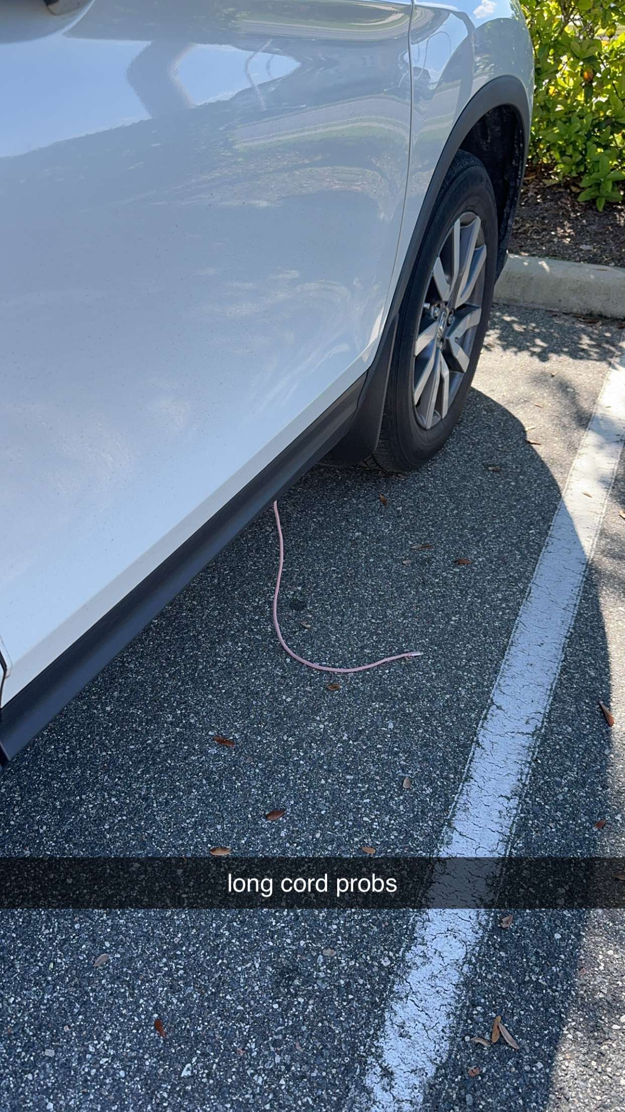 xcatlyn snapchat image archive image