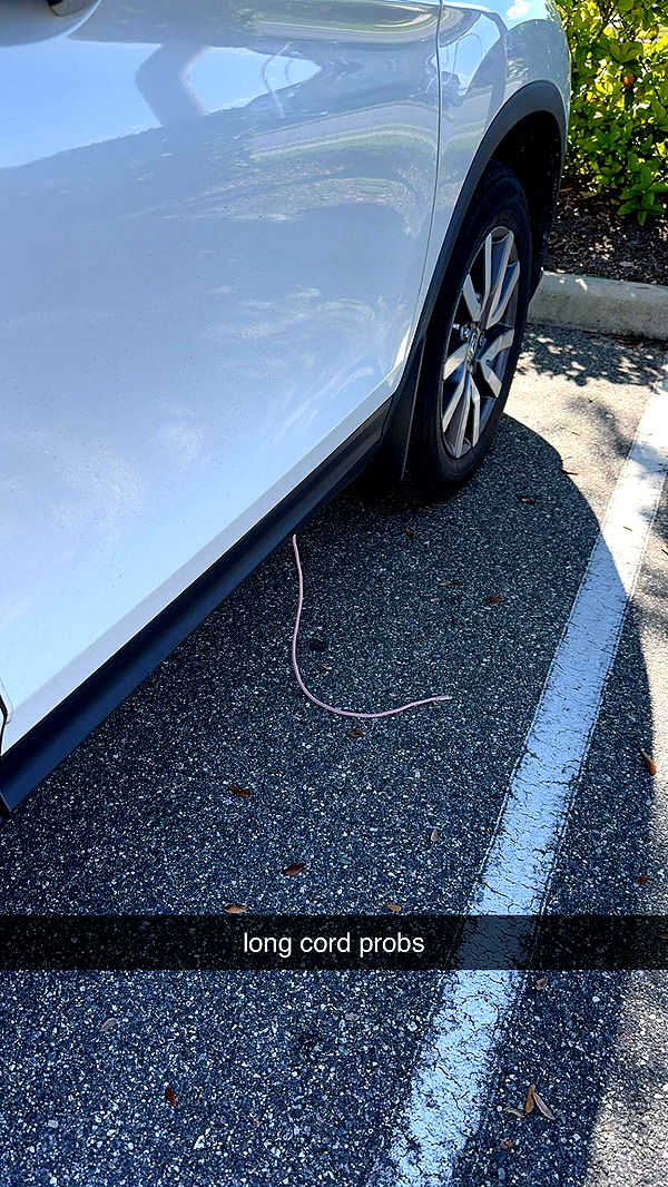 xcatlyn image ~ Altpins