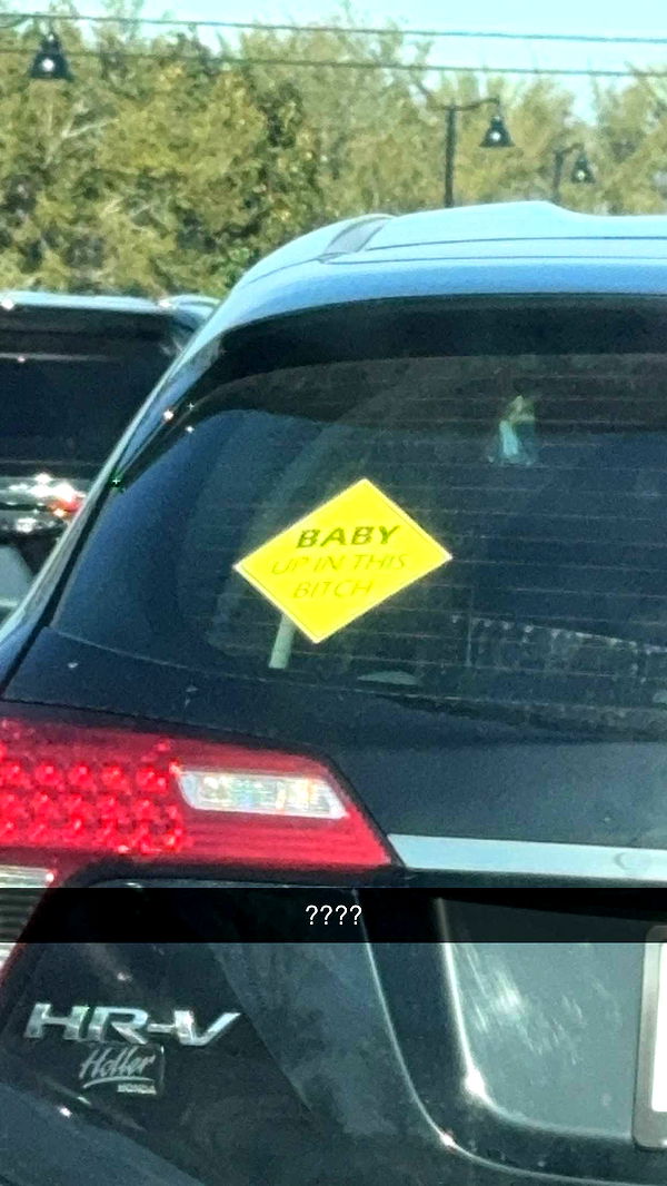 xcatlyn image ~ Altpins