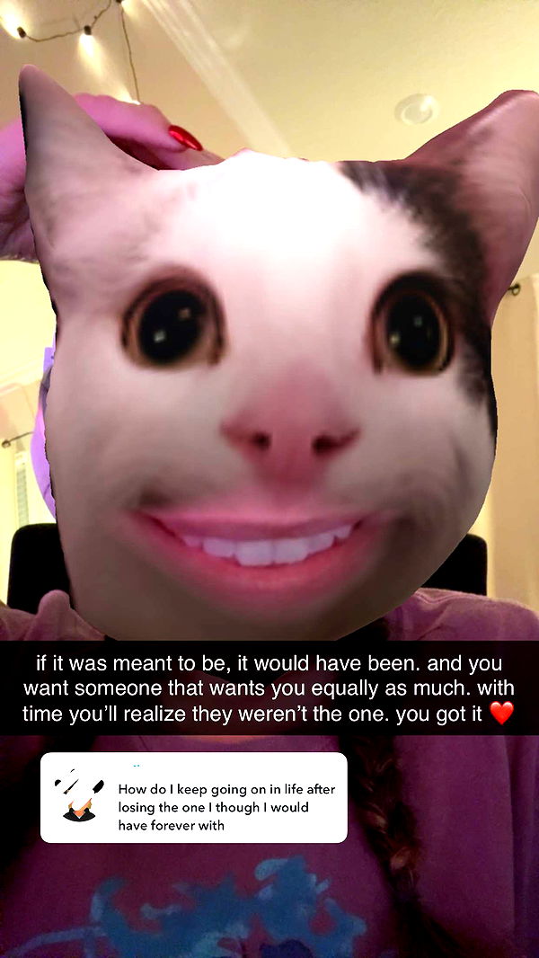 xcatlyn image ~ Altpins