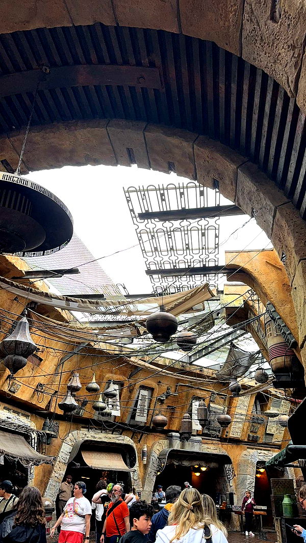 xcatlyn image ~ Altpins