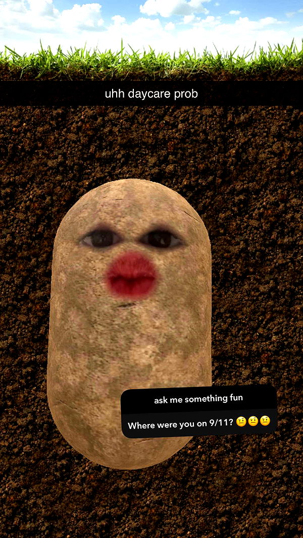 xcatlyn image ~ Altpins