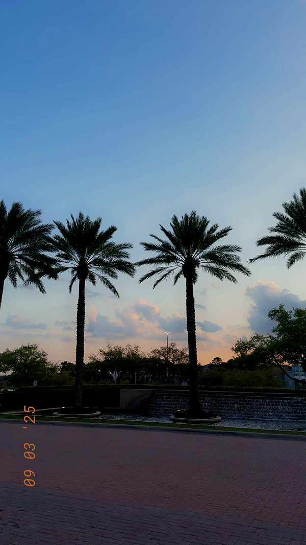 xcatlyn image ~ Altpins