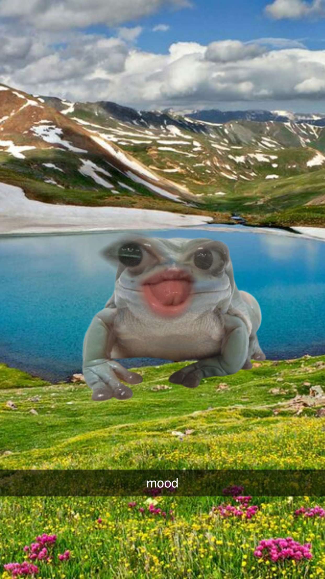 xcatlyn snapchat image archive image