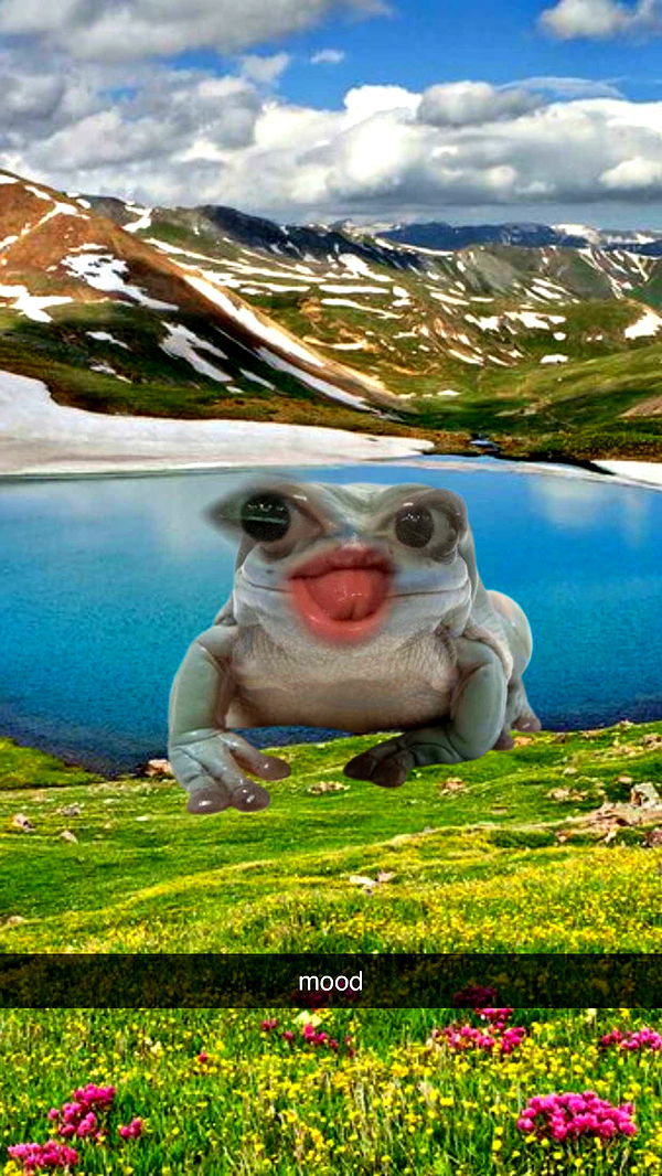 xcatlyn image ~ Altpins