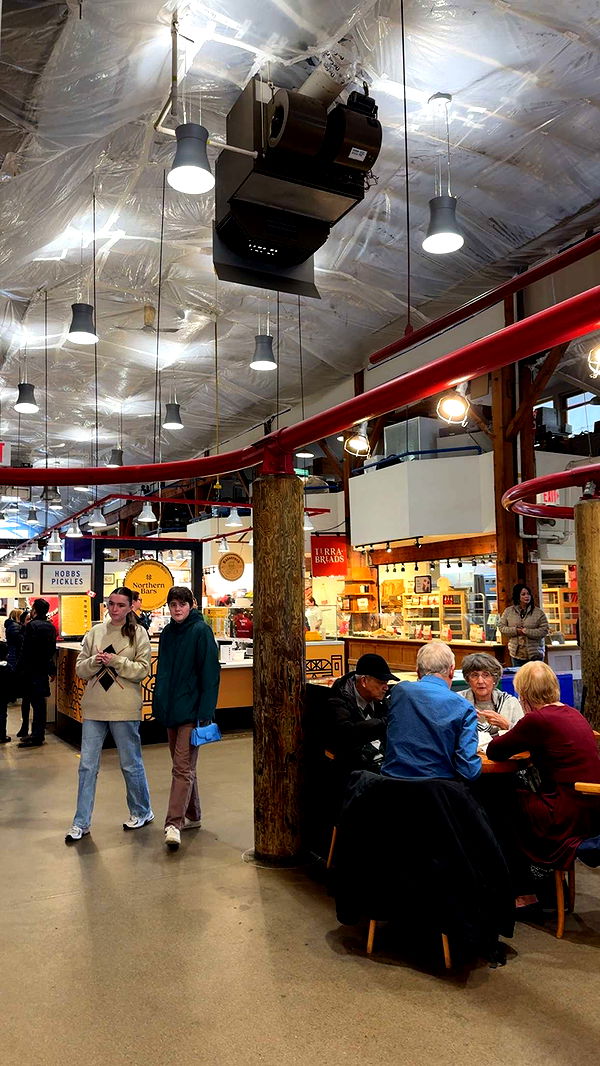 xcatlyn image ~ Altpins