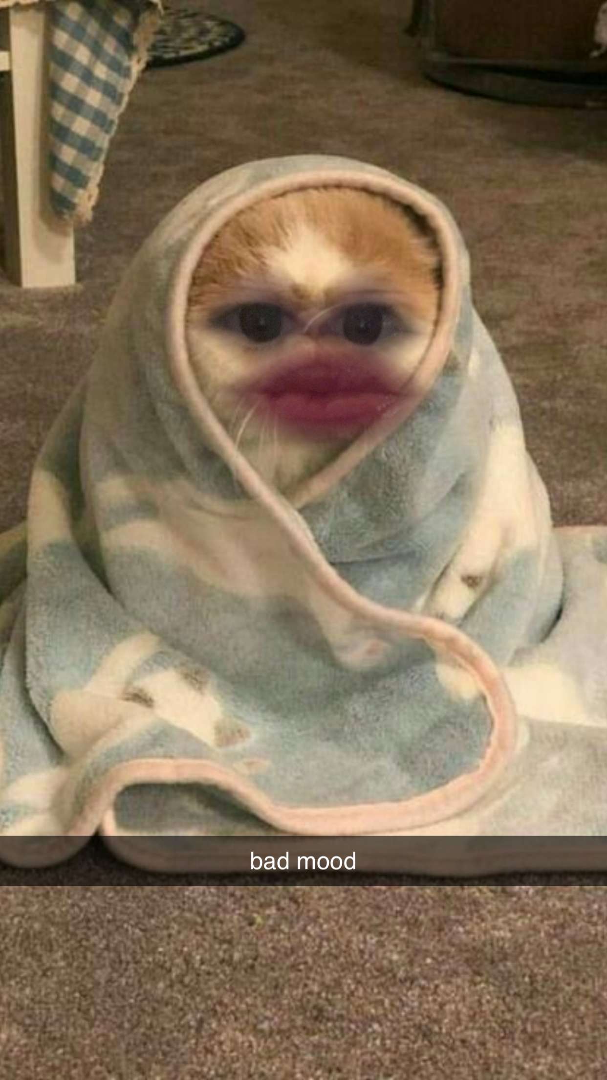 xcatlyn snapchat image archive image