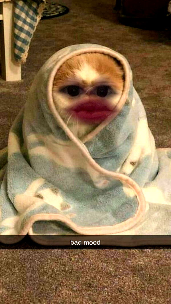 xcatlyn image ~ Altpins