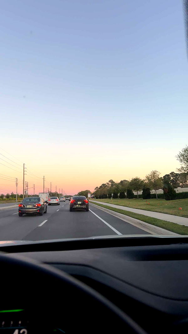 xcatlyn image ~ Altpins