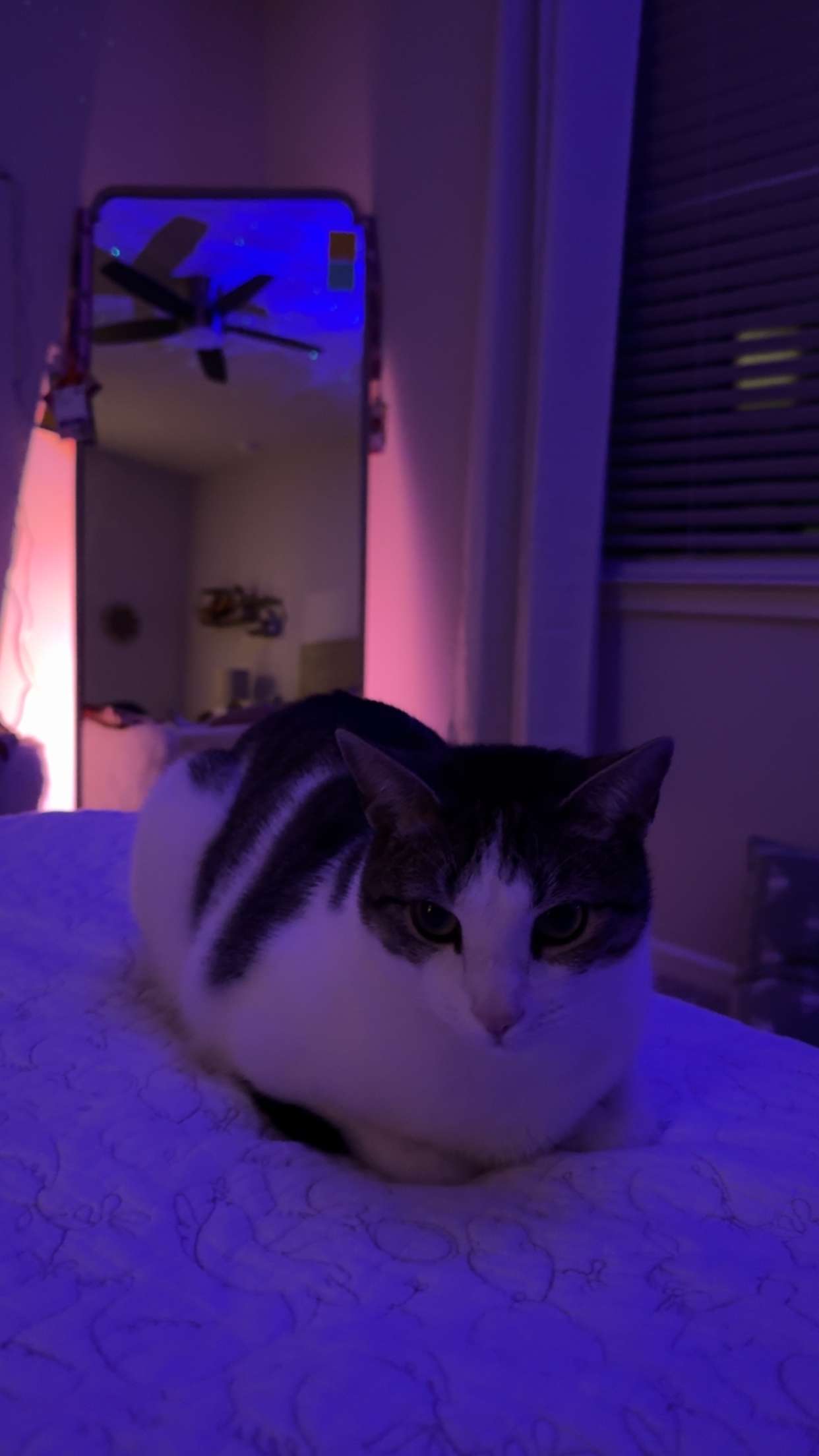 xcatlyn snapchat image archive image