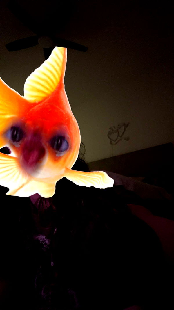 xcatlyn image ~ Altpins